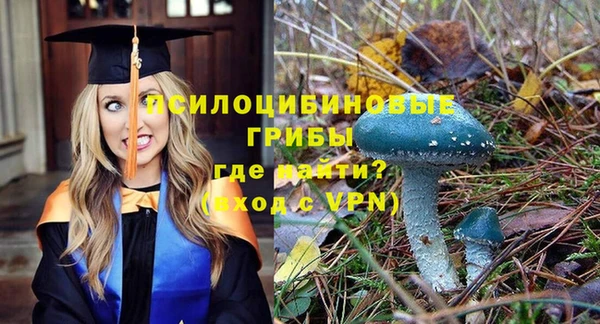 тгк Навашино