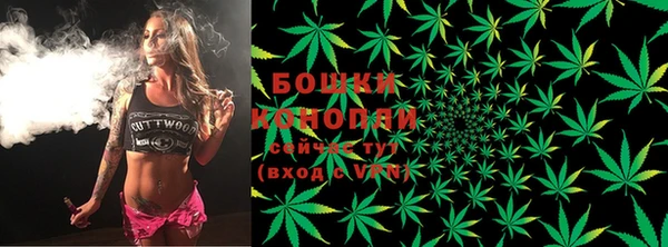 ГАЛЛЮЦИНОГЕННЫЕ ГРИБЫ Наволоки
