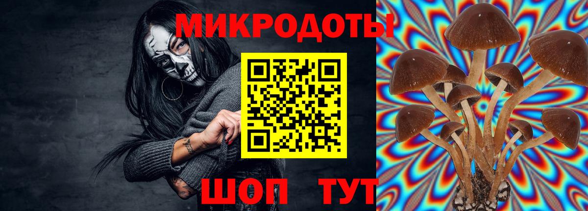 Коркино  Галлюциногенные грибы Magic Shrooms  Галлюциногенные грибы мицелий  Вход с VPN 