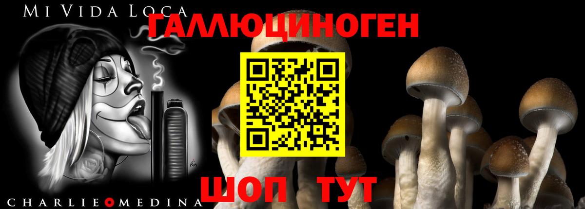 Галлюциногенные грибы GOLDEN TEACHER Коркино